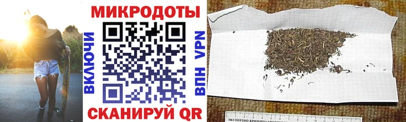 Псилоцибиновые грибы Cubensis Мезень